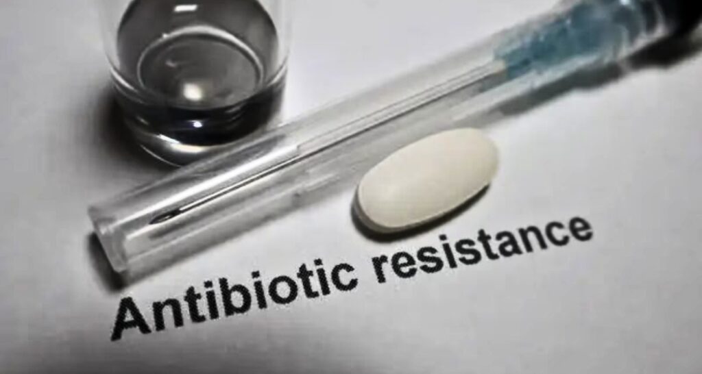 Learn about unearths alarming AMR unfold in Indian metros Study finds alarming AMR spread in Indian metros