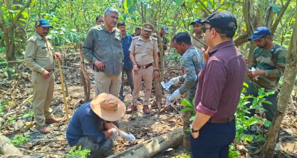 Two tiger cubs poached, legs severed in Haridwar forest