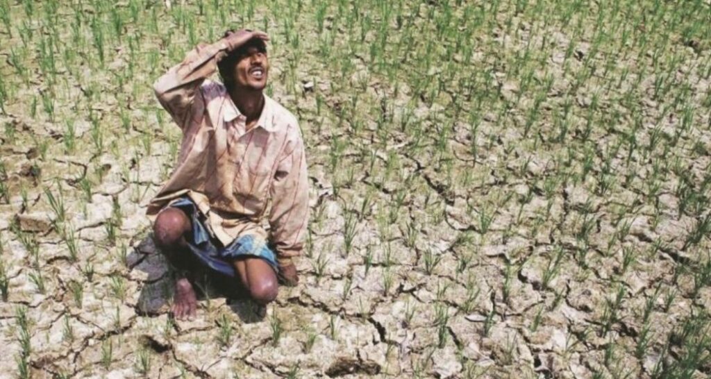 Government paperwork crop, disaster watch teams amid El Nino issues Govt forms crop, crisis watch groups amid El Nino concerns